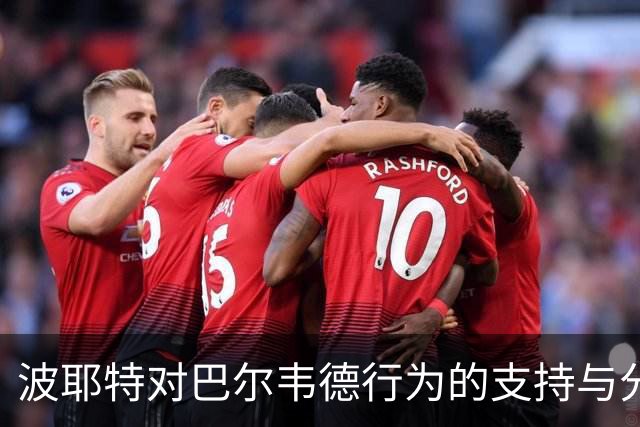 波耶特对巴尔韦德行为的支持与分析